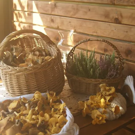 Sovi Dom Penzion